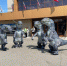 Нажмите для просмотра в полном размере... - Тяжинский район