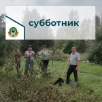 Нажмите для просмотра в полном размере...