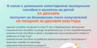 Отделение Соцфонда по Кемеровской области выплатит детские пособия за декабрь досрочно - Тяжинский район